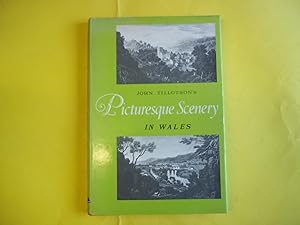 Seller image for Picturesque Scenery in Wales. for sale by Carmarthenshire Rare Books
