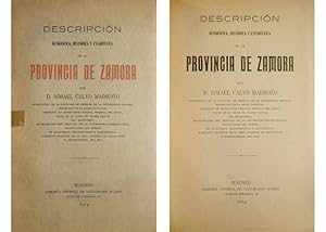 Imagen del vendedor de Descripcin Geogrfica, Histrica y Estadstica de la Provincia de Zamora. Con la Gua de las Aguas Minero-Medicinales de Calabor. a la venta por Hesperia Libros