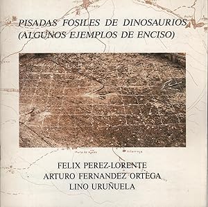 Imagen del vendedor de PISADAS FOSILES DE DINOSAURIOS - (ENCISO) FOTOGRAFIAS LINO URUUELA- a la venta por Librera Hijazo