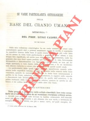 Imagen del vendedor de Su varie particolarit osteologiche della base del cranio umano. a la venta por Libreria Piani