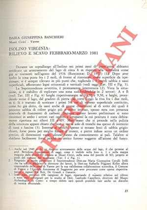 Isolino Virginia: rilievo e scavo febbraio-marzo 1981.