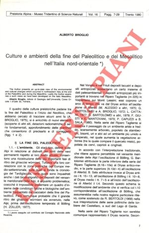 Culture e ambienti della fine del Paleolitico e del Mesolitico nell'Italia nord-orientale.