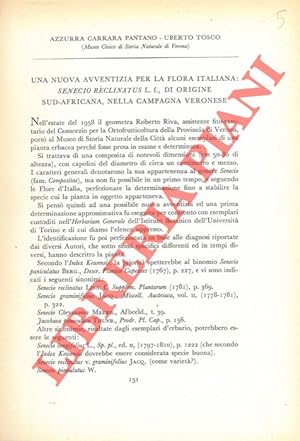 Una nuova avventizia per la flora italiana: Senecio reclinatus L.f. Di origine sud-africana, nell...