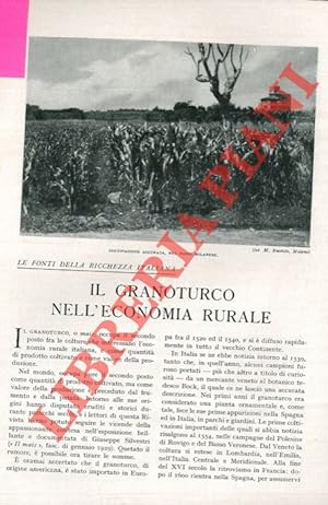 Bild des Verkufers fr Le fonti della ricchezza italiana. Il granoturco nell'economia rurale. zum Verkauf von Libreria Piani