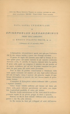 Nota sopra un esemplare di Epinephelus alexandrinus preso nell'Adriatico.