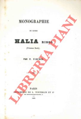 Monographie du genre Halia Risso (Priamus Beck).