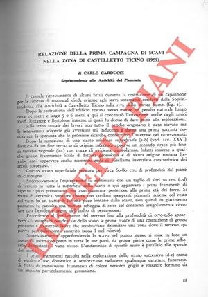 Relazione della prima campagna di scavi nella zona di Castelletto Ticino (1959) .