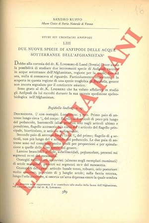 Due nuove specie di Anfipodi delle acque sotterranee dell'Afghanistan.