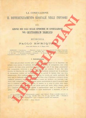 Imagen del vendedor de La coniugazione e il differenziamento sessuale degli infusori. III. Azione dei sali sulle epidemie di coniugazioni nel Cryptochilum nigricans. IV. Trattazione critica delle pi importanti questioni. a la venta por Libreria Piani