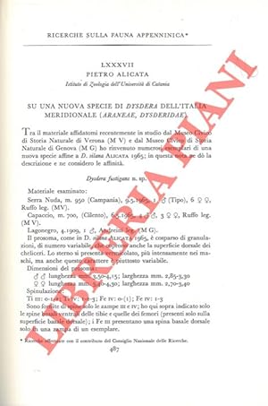 Ricerche sulla fauna appenninica. Su una nuova specie di Dysdera dell'Italia Meridionale (Araneae...