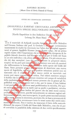 Imagen del vendedor de Studio sui Crostacei anfipodi. Ingolfiella xarifae (Crustacea Amphipoda) nuova specie dell'Oceano Indiano. a la venta por Libreria Piani