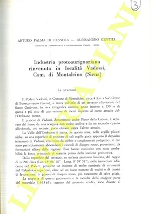 Industria protoaurignaziana rinvenuta in località Vadossi, Com. di Montalcino (Siena) .