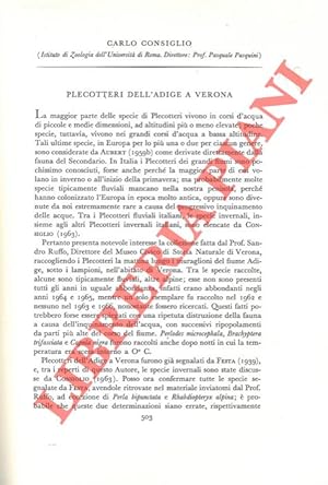 Imagen del vendedor de Plecotteri dell'Adige a Verona. a la venta por Libreria Piani