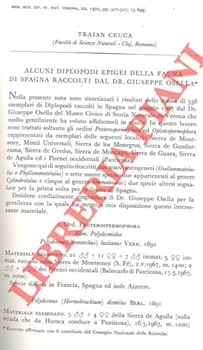 Alcuni Diplopodi epigei della fauna di Spagna raccolti dal Dr. Giuseppe Osella.