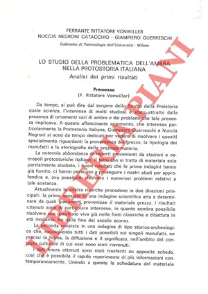 Lo studio della problematica dell'ambra nella protostoria italiana. Analisi dei primi risultati.