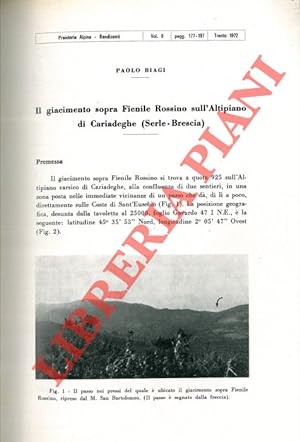 Il giacimento sopra Fienile Rossino sull'Altipiano di Cariadeghe (Serle - Brescia) .