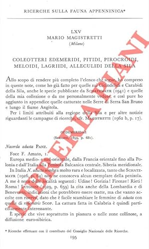 Ricerche sulla fauna appenninica. Coleotteri Edemeridi, Pitidi, Pirocroidi, Meloidi, Lagriidi, Al...