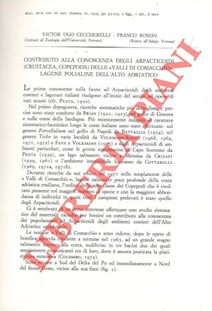 Contributo alla conoscenza degli Arpacticoidi (Crustacea Copepoda) delle  Valli di Comacchio  , L...
