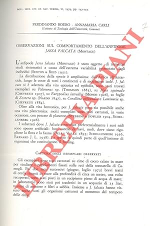 Bild des Verkufers fr Osservazioni sul comportamento dell'anfipode Jassa falcata (Montagu) . zum Verkauf von Libreria Piani