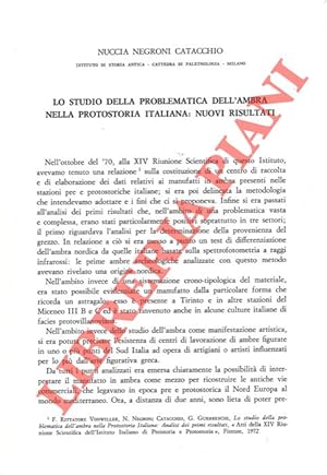 Lo studio della problematica dell'ambra nella protostoria italiana. Nuovi risultati.