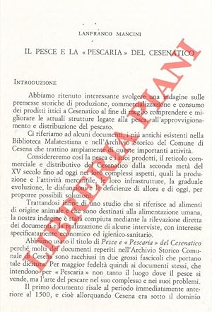 Il pesce e la  Pescaria  del Cesenatico.