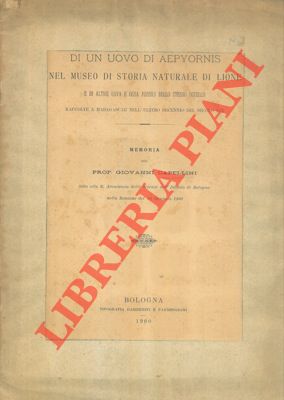 Bild des Verkufers fr Di un uovo di Aepyornis nel Museo di Storia Naturale di Lione e di altre uova e ossa fossili dello stesso uccello raccolte a Madagascar nell'ultimo decennio del secolo XIX. zum Verkauf von Libreria Piani