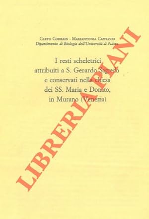 I resti scheletrici attribuiti a S. Gerardo Sagredo e conservati nella chiesa dei SS. Maria e Don...