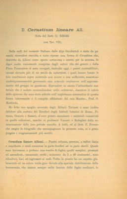 Bild des Verkufers fr Il Cerastium lineare All. zum Verkauf von Libreria Piani