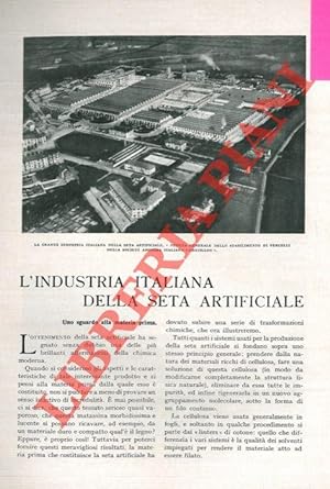 L'industria italiana della seta artificiale.