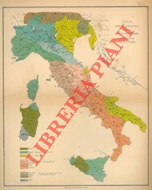 Profilo antropologico dell'Italia.