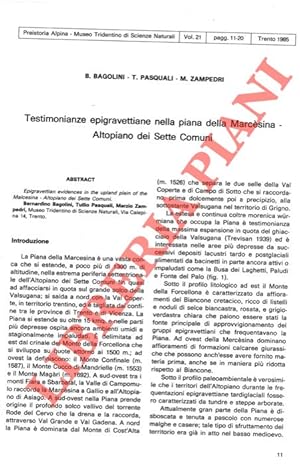 Testimonianze epigravettiane nella piana della Marcesina - Altopiano dei Sette Comuni.