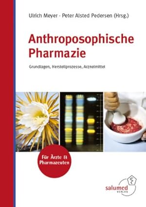 Bild des Verkufers fr Anthroposophische Pharmazie : Grundlagen, Herstellprozesse, Arzneimittel zum Verkauf von AHA-BUCH GmbH