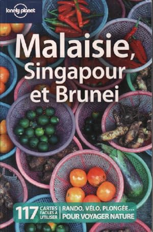Imagen del vendedor de Malaisie singapour et brunei a la venta por librairie philippe arnaiz
