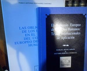 Imagen del vendedor de LAS OBLIGACIONES DE LOS ESTADOS EN EL MARCO DEL CONVENIO EUROPEO DE DERECHOS HUMANOS + EL CONVENIO EUROPEO DE DERECHOS HUMANOS: TEXTOS INTERNACIONALES DE APLICACIN a la venta por Libros Dickens