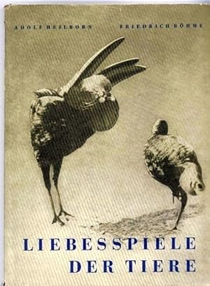 Seller image for Liebesspiele der Tiere for sale by Clivia Mueller