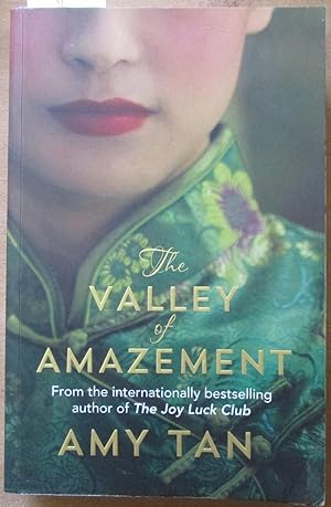 Imagen del vendedor de Valley of Amazement, The a la venta por Reading Habit