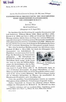 Bild des Verkufers fr Experimentelle Beeinflussung des Granamusters einer abweichenden Plastidensorte von Antirrhinum majus zum Verkauf von ConchBooks