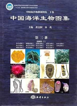 Immagine del venditore per The Living Species and Their Illustrations in China's Seas (Part II). An illustrated Guide to Species in China's Seas (Vol. 3) - Animalia (1): Porifera Cnidaria Plathyelminthes Nemertinea Nematoda; Acanthocephala Rotifera Gastrotricha Kinorhyncha Priapulida Annelida; Sipuncula Echiura venduto da ConchBooks