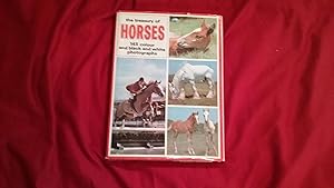 Seller image for THE TREASURY OF HORSES for sale by Betty Mittendorf /Tiffany Power BKSLINEN