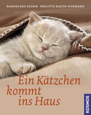 Seller image for Ein Ktzchen kommt ins Haus for sale by primatexxt Buchversand