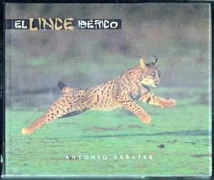 EL LINCE IBÉRICO