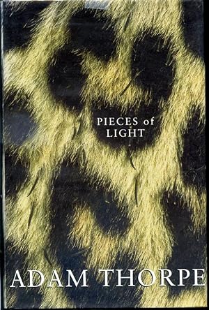 Seller image for Pieces of Light for sale by Librairie Le Nord