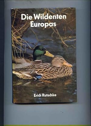 Die Wildenten Europas. Biologie - Ökologie - Verhalten. 32 Farbtafeln mit 4 Grafiken und 48 Fotos...