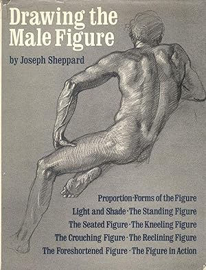 Drawing the Male Figure