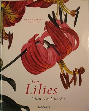 THE LILIES  Lilien  Les Liliacees.