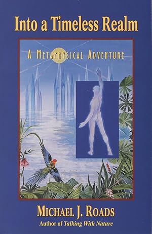 Seller image for Into a Timeless Realm: A Metaphysical Adventure for sale by Kenneth A. Himber