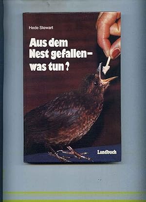 Aus dem Nest gefallen - was tun ?