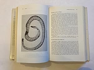 THE BIOLOGY OF SEA SNAKES