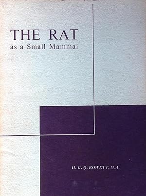 The rat as a small mammal