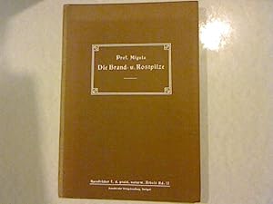 Bild des Verkufers fr Die Brand- und Rostpilze. Ein Hilfsbuch zu ihrem Erkennen, Bestimmen, Sammeln, Untersuchen und Prparieren. Handbcher fr die praktische naturwissenschaftliche Arbeit Band 13. zum Verkauf von Antiquariat Bookfarm